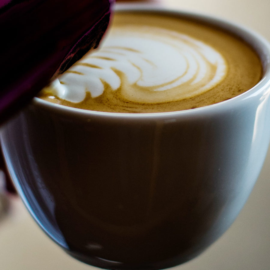 Latte-Art-Kurs