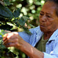 Honduras Marcala3