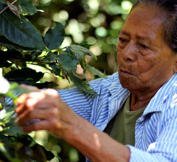 Honduras Marcala3