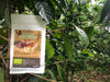 Manos Campesinas – Guatemala Washed3