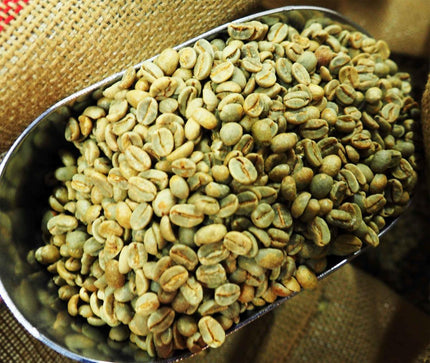 Nachhaltigkeit und Qualität fördern